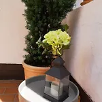 Апартаменти Seefeld Alpin - Tiroler Stube Apartments Зефельд-ін-Тіроль