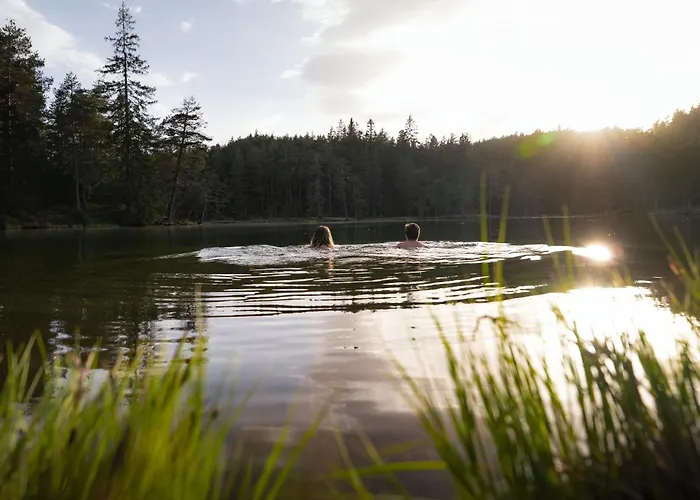 Seefeld Alpin - Gemuetliche Tiroler Stube