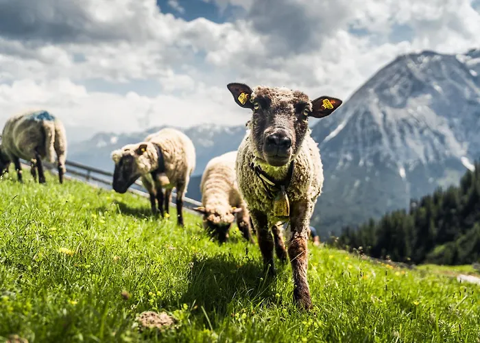 Seefeld Alpin - Gemuetliche Tiroler Stube Apartman