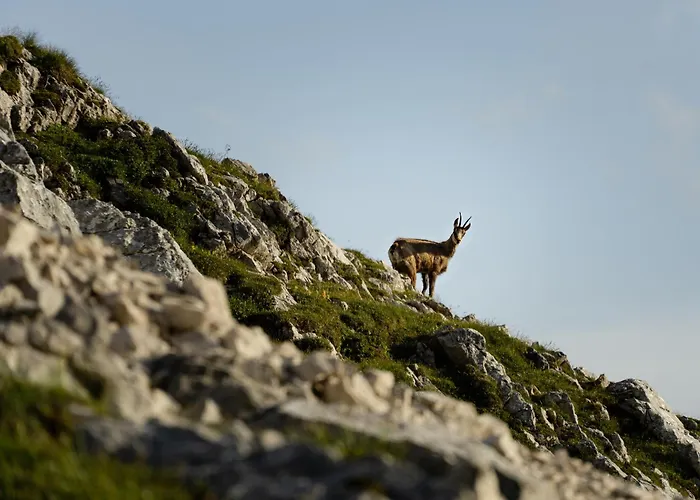 Apartman Seefeld Alpin - Gemuetliche Tiroler Stube *